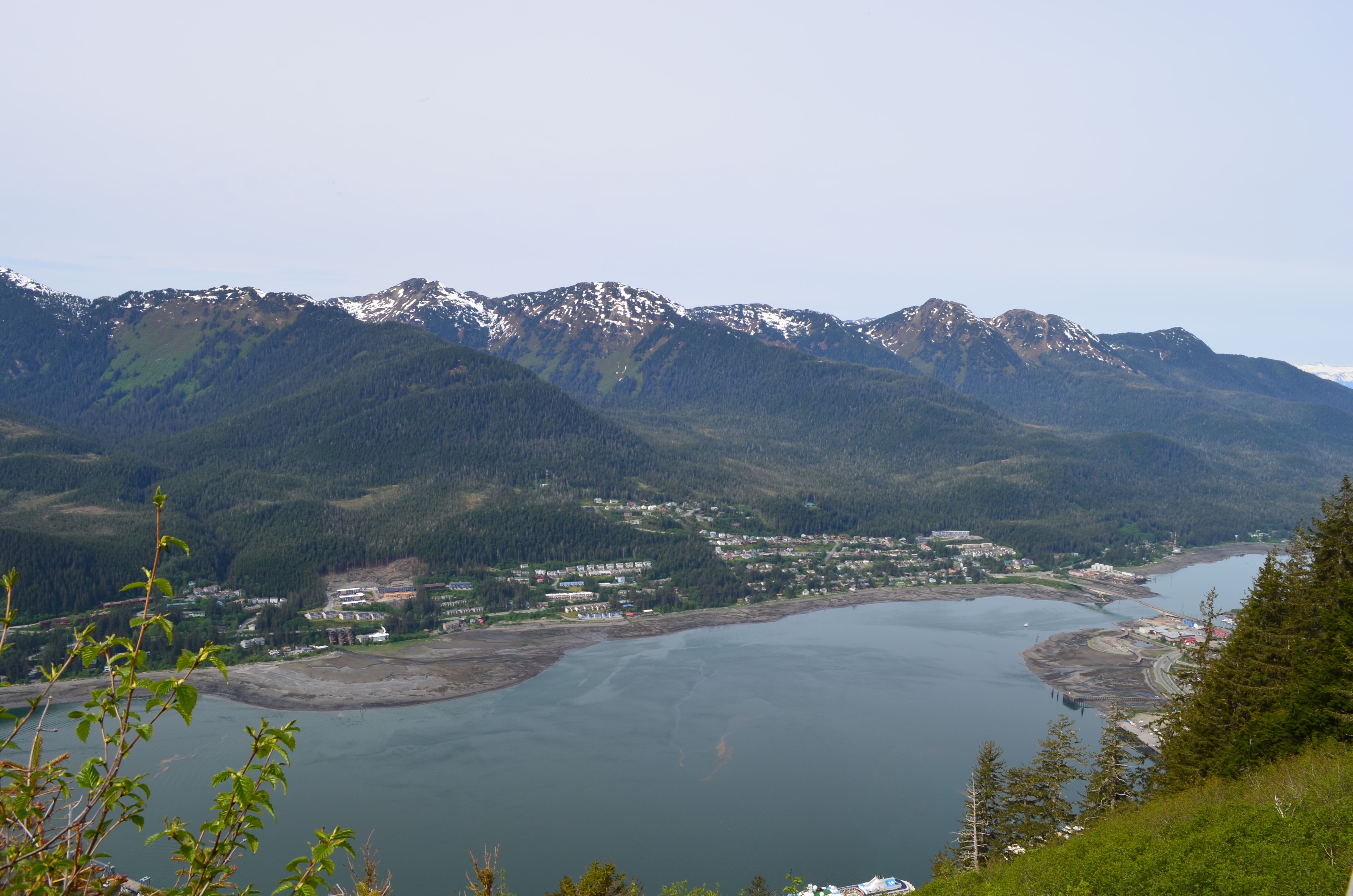 ./2017/08 - Alaska Cruise/08 - Juneau/DSC_0907.JPG